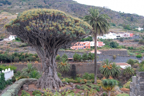 pueblos de santa cruz de tenerife